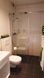 a bathroom with a shower and a toilet and a sink at Pension Jägerhof in Mallnitz