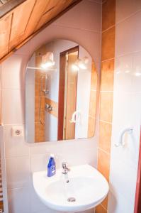 a bathroom with a sink and a mirror at Penzion u Lupíků in Frýdlant nad Ostravicí