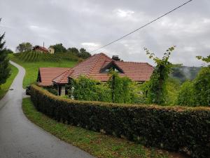 een huis op een heuvel naast een weg bij Wine & Nature & Tour in Zgornji Leskovec