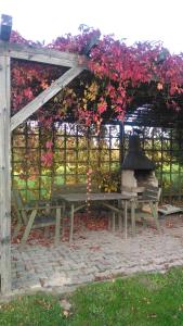 Vườn quanh Pension U Václava