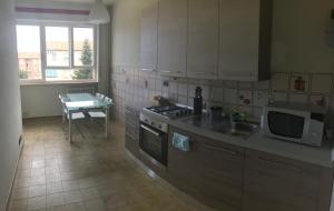 eine Küche mit einer Spüle, einem Herd und einer Mikrowelle in der Unterkunft Juventus (Allianz) stadium apartment in Turin