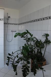 Kúpeľňa v ubytovaní Ferienwohnung Elsa