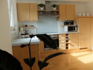 Kuchyňa alebo kuchynka v ubytovaní Ferienwohnung Elsa