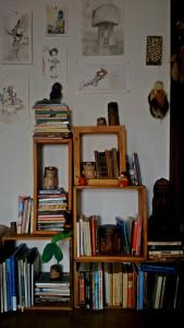 dos estanterías llenas de libros en una habitación en Hostel Armazém do Heyokah, en Urubici