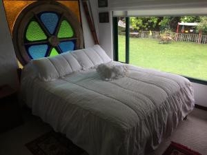 un gatto sdraiato su un letto in una camera da letto con finestra di Hostal Bugambil a Sopó