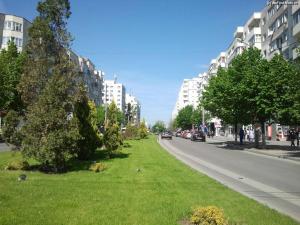 a grassy street with buildings and cars on the road at casa lux central in Slatina