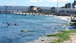 Fotografie z fotogalerie ubytování Cabanas Via Nautica v destinaci Algarrobo