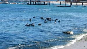 Fotografie z fotogalerie ubytování Cabanas Via Nautica v destinaci Algarrobo