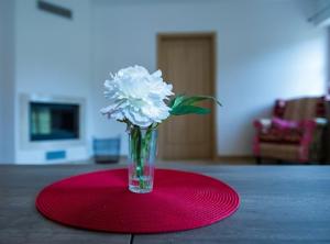 Posezení v ubytování Apartmány Nová Pec
