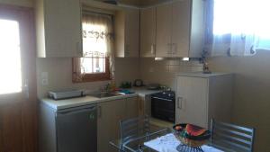 Mιχαλης Apartments的厨房或小厨房