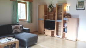 sala de estar con sofá y TV en Apartment Voellenklee en Neustift im Stubaital