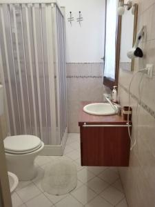 リングアグロッサにあるIl corbezzoloのバスルーム(トイレ、洗面台、シャワー付)