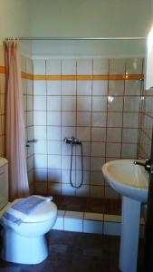 a bathroom with a shower and a toilet and a sink at Hotel Votsala in Chorefto