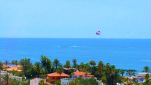 プラヤ・デ・ラス・アメリカスにあるLas Americas Panoramic Sea Viewsの海上空を飛ぶ凧