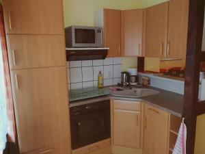 eine kleine Küche mit einer Spüle und einer Mikrowelle in der Unterkunft Ferienwohnung-gurran in Lübben