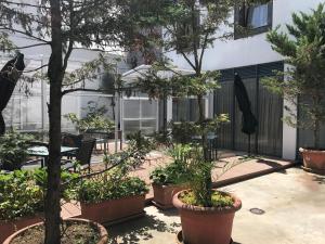 Zahrada ubytování Hotel Matriz