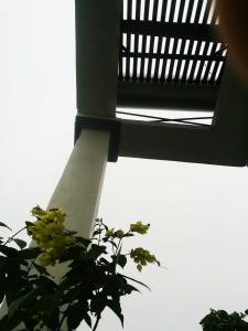 Balkón nebo terasa v ubytování Homestay Moc Chau