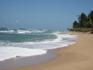 a beach with waves and palm trees and the ocean at Paribahia in Praia do Forte