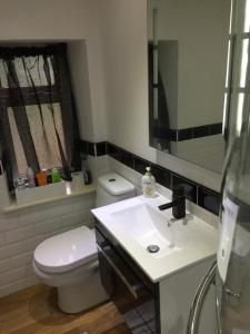 a bathroom with a white toilet and a sink at Winwood Apartment in Holmfirth
