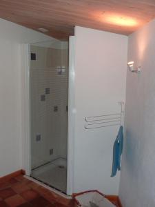 a bathroom with a shower with a glass door at Les Chênes Bleus in Sainte-Marie-de-Ré