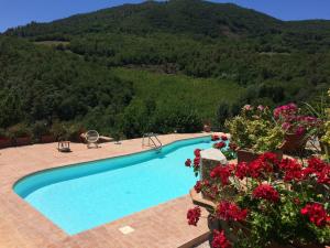 a swimming pool with flowers in front of a mountain at Ancaiano Country House in Ferentillo
