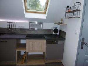 eine kleine Küche mit einer Spüle und einer Mikrowelle in der Unterkunft Le petit domaine des Aubuis in Chinon