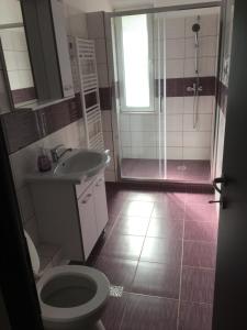 een badkamer met een toilet, een wastafel en een douche bij Jane House 2 in Boekarest