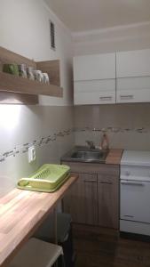 a kitchen with a green tray on a counter at Apartment Kati in Ingolstadt