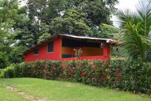 Photo de la galerie de l'établissement Puka Wasi Posada, à Tarapoto