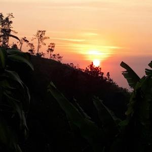 Landskap semula jadi dekat dengan homestay