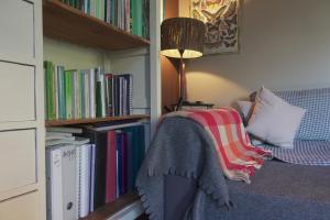 マンサナレス・エル・レアルにあるLas Horas Perdidasのソファの横に本が詰まった本棚