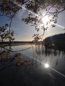 Imagen de la galería de Haus am See in Kleinzerlang, en Kleinzerlang