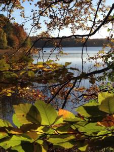 Imagen de la galería de Haus am See in Kleinzerlang, en Kleinzerlang