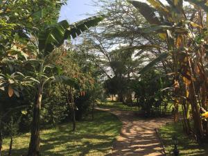 a path through a garden with trees and grass at Arusha Planet Lodge in Arusha