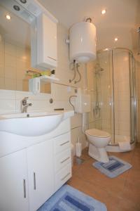 a bathroom with a sink and a toilet and a shower at Apartment Centar in Pula