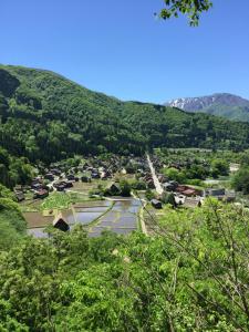 旅館の近くで見られる自然の景観