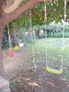 a group of swings hanging from a tree at Patriko Country House in Vóroi