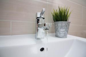 a bathroom sink with a faucet and a plant at Castle Point Apartments Southampton Premier Lodge in Southampton +29 photos