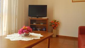 TV tai viihdekeskus majoituspaikassa Casa do Cisne
