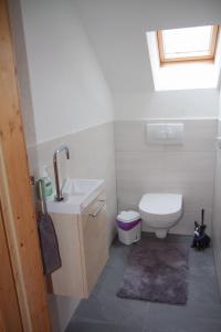 a bathroom with a toilet and a sink and a window at Chalet an der Traun in Ebensee