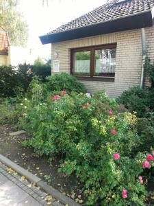 a bush of flowers in front of a house at Neanderland-Apartment in Wülfrath