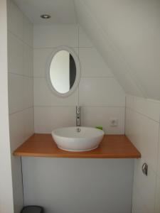 a bathroom with a sink and a mirror at B&B Hanenberg in Ooien