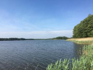 a view of a lake with trees in the background at Ferienhaus Daul in Wandlitz