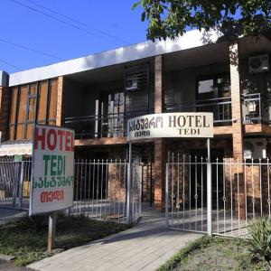 ein Hotelschild vor einem Gebäude in der Unterkunft Hotel Tedi in Qwareli