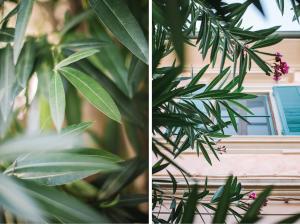 Een tuin van La Casetta Di Filippo E Chiara