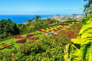 Gallery image of Funchal Apartment in Funchal