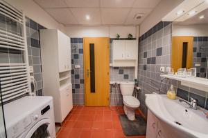 Koupelna v ubytování Apartment Aqua Vita + 19 fotografií