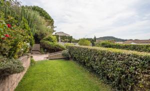 d'un jardin avec une haie verte et de la pelouse. dans l'établissement Studios 10 & 11 BY HOTEL DES LICES, à Saint-Tropez