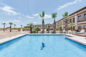 a dolphin in the pool at a hotel with palm trees at Lone Star Inn - San Benito in San Benito