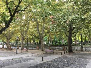 Imagen de la galería de maitagarri casco antiguo, en Pamplona